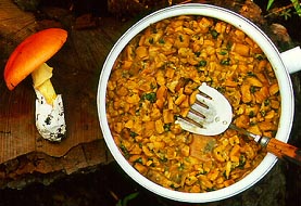 Amanita basii and skillet of that species, boletes, and native herbs - photo by Ricardo García Sandoval